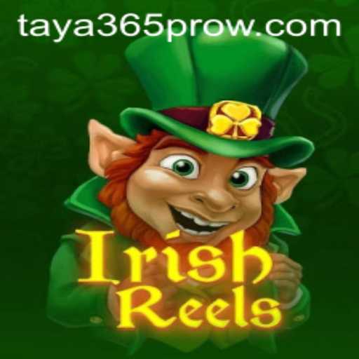 Exploring the Intricacies of IrishReels and the Rise of Taya365 Pro
