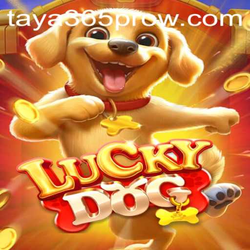 Discover the Excitement of LuckyDog: Your Guide to Playing with Taya365 Pro