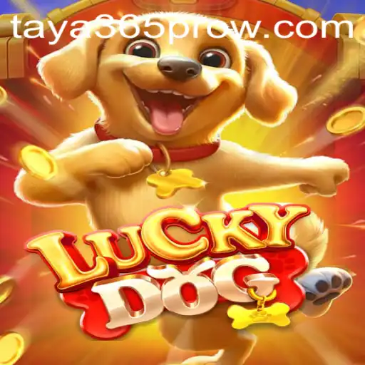 Discover the Excitement of LuckyDog: Your Guide to Playing with Taya365 Pro