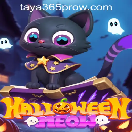 Explore the Enchanting World of HalloweenMeow