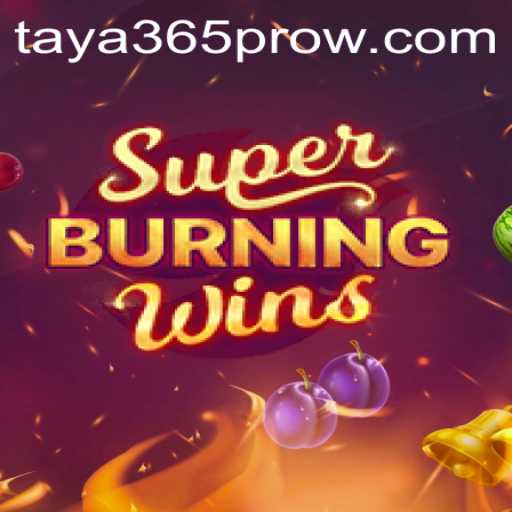 Exploring SuperBurningWins: A Comprehensive Overview