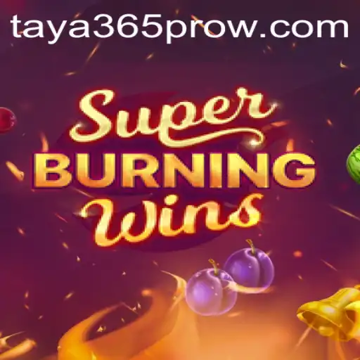 Exploring SuperBurningWins: A Comprehensive Overview