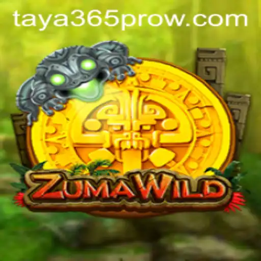 Discovering the Excitement of ZumaWild with Taya365 Pro